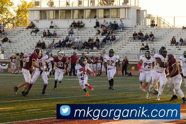 App Interface Preview